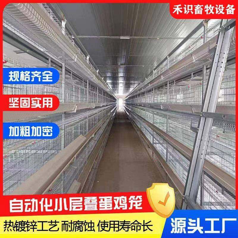 小层叠蛋鸡笼热镀锌丝加密加粗自动养殖清机专业养鸡设备自动集蛋,畜牧/养殖物资,特种养殖设备,淘宝优惠券,粉丝福利购,淘宝优惠卷