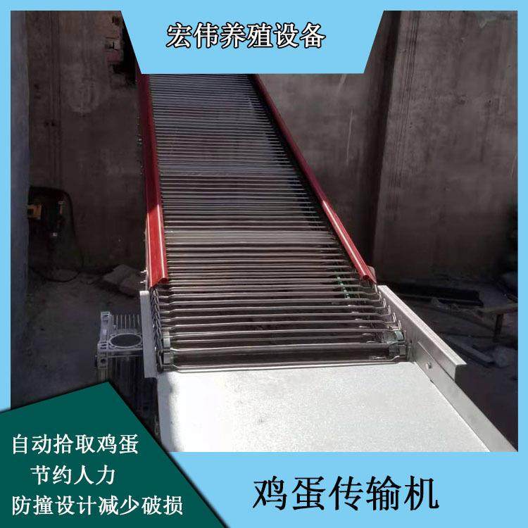 升降式自动化捡蛋装置大型养殖厂用收蛋机宏伟养殖收鸡蛋设备,畜牧/养殖物资,特种养殖设备,淘宝优惠券,粉丝福利购,淘宝优惠卷