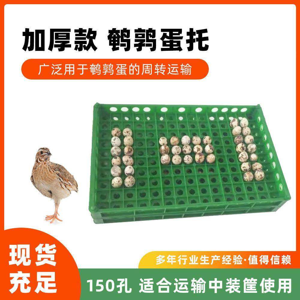 鹌鹑蛋框塑料蛋类周转箱鹌鹑蛋托150枚鹌鹑蛋托转运托加厚窝,畜牧/养殖物资,特种养殖设备,淘宝优惠券,粉丝福利购,淘宝优惠卷
