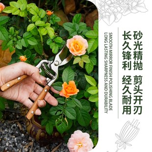 小巧匠园林果树剪复古花园剪园艺修枝剪树枝剪叶芽剪刀强力摘果剪