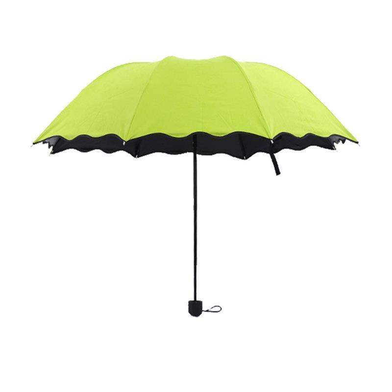 创意三折叠黑胶遇水开花伞礼品广告伞晴雨伞可做LOGO
