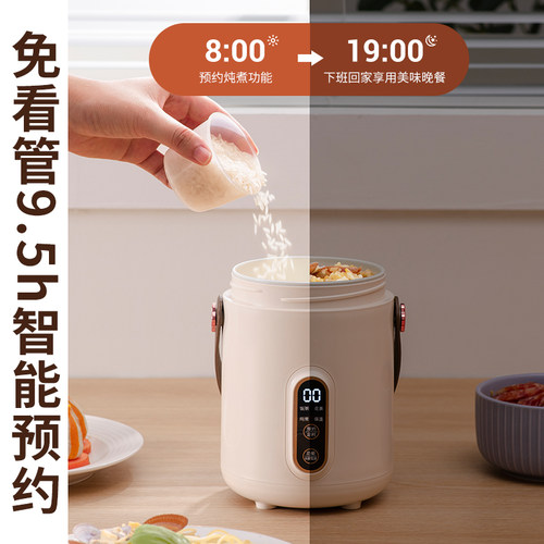 电炖锅小型多功能小炖锅电煮锅煲汤煮面煮粥神器家用上班族电炖盅