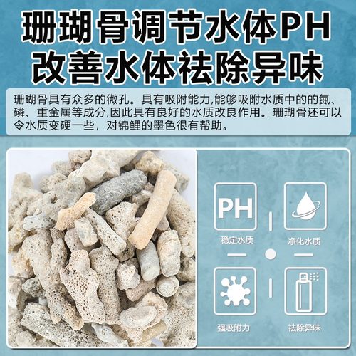 珊瑚石滤材鱼缸底滤净水吸附珊瑚沙培菌鱼池水族珊瑚骨过滤材料