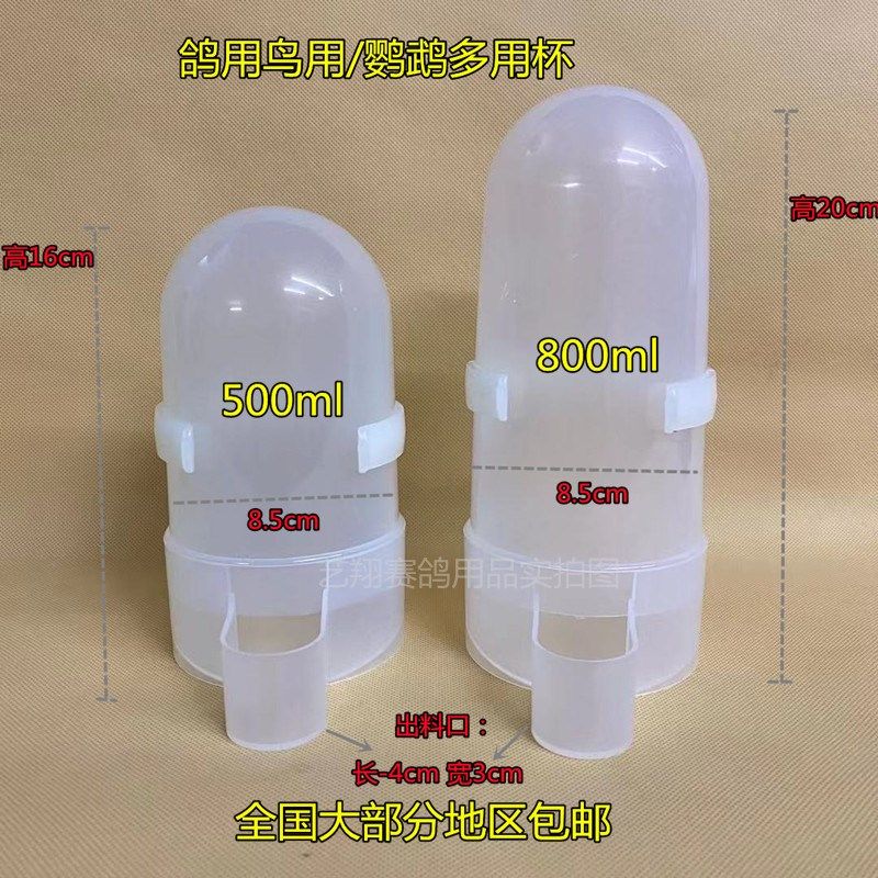 鸽具鸽子饮水器水壶自动喂水信鸽用品用具鹦鹉喂食器鸟用食槽包邮