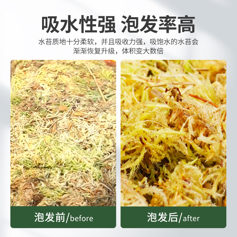 干苔藓蝴蝶兰专用营养土无菌水苔兰花石斛纯天然青苔爬宠乌龟垫材