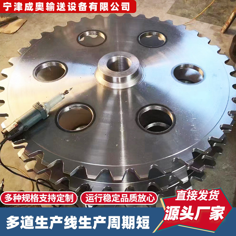 不锈钢链轮齿轮4分/6分工业传动精密滚子链轮非标定U制10a双排链