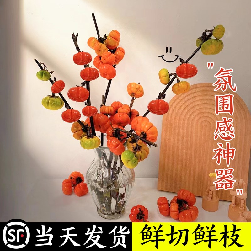 网红小南瓜鲜花新鲜切花枝水培干花卉室内水养绿植物迷你插花摆件