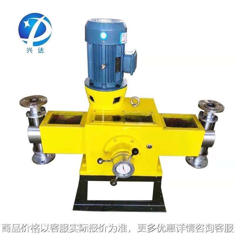 加药计量泵，双头柱塞式计量泵热销供应大流量不阻塞’电动