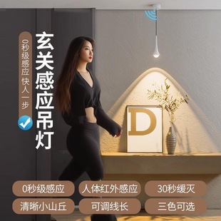 人体感应玄关小吊灯入户门单头水滴长线灯人来即亮小山丘氛围灯