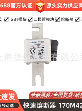 170M4261 170M4262 170M4263低压熔断器 电子元器件全新现货直发