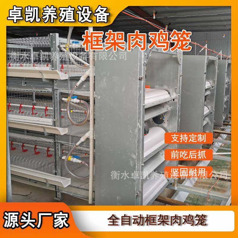 自动化肉鸡笼框架立式肉多层鸡笼后热镀材质加固笼门供国内外,畜牧/养殖物资,特种养殖设备,淘宝优惠券,粉丝福利购,淘宝优惠卷