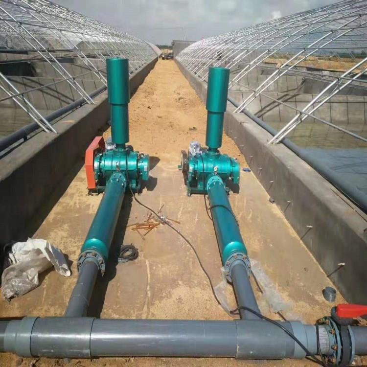 厂家现货供应污水处理罗茨风机各种鱼塘增氧罗茨鼓风机