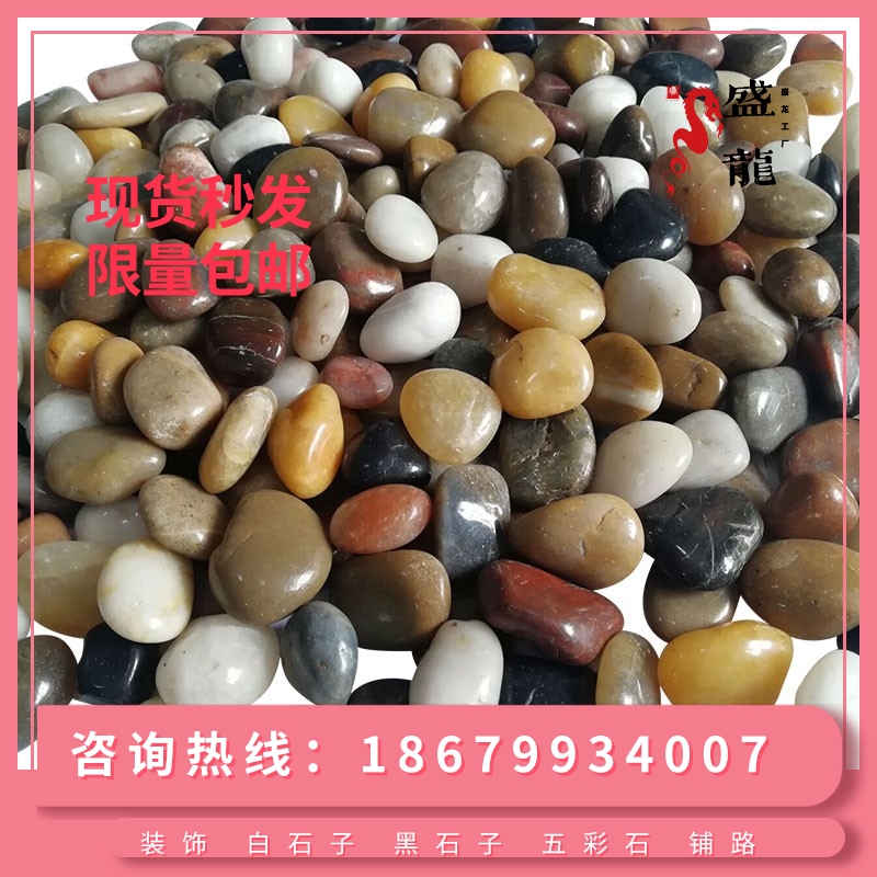 辽宁鹅卵石石头鹅卵石蛋雨花石原石铺路庭院贴墙造景鹅软石小石子