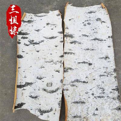 天然白桦树皮·桦树皮家居装饰DIY花材材料干桦树皮拍摄道具