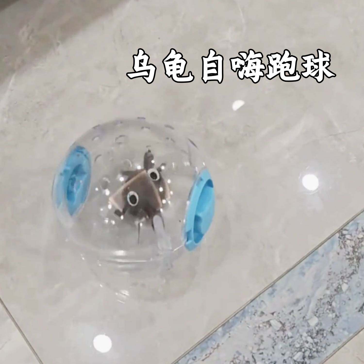 乌龟自嗨球溜溜球逗乌龟解闷移动球透明球筒宠物跑步球球筒网红球