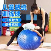 大龙球按摩瑜伽球感统训练按摩球儿童家庭运动器材平衡颗粒按摩
