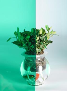 A6L宝石绿色玻璃幕墙改色装饰贴膜婚庆窗户贴纸彩色玻璃纸透明透