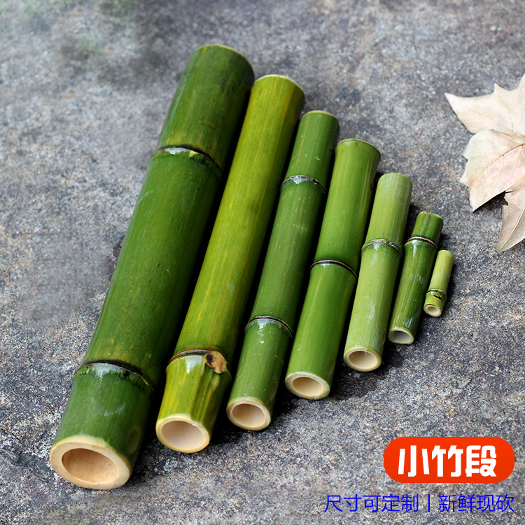 新鲜竹子新鲜竹子竹段小竹棒