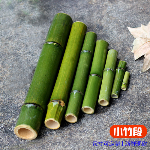 新鲜竹子新鲜竹子竹段小竹棒