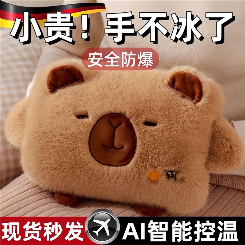 德国热水袋可插手充电式暖