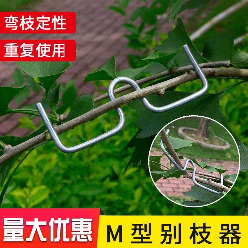 果树盆景花卉M型拉枝定型器