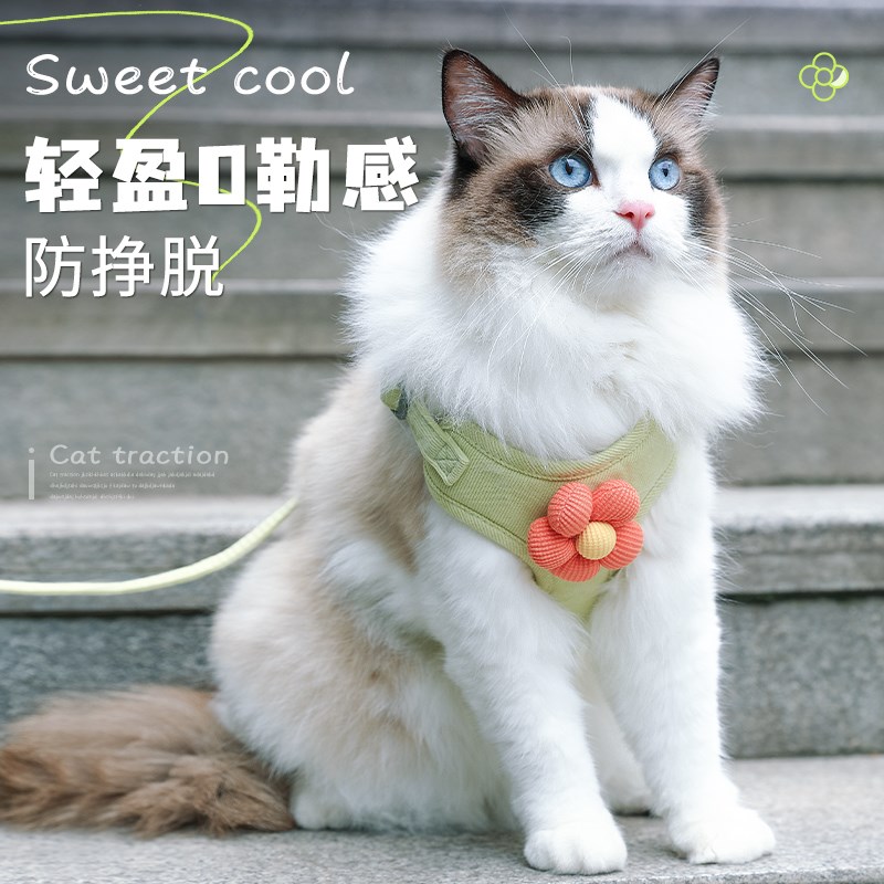 猫咪牵引绳可调节胸背防挣脱小狗遛狗绳背心式小型幼犬外出遛猫绳
