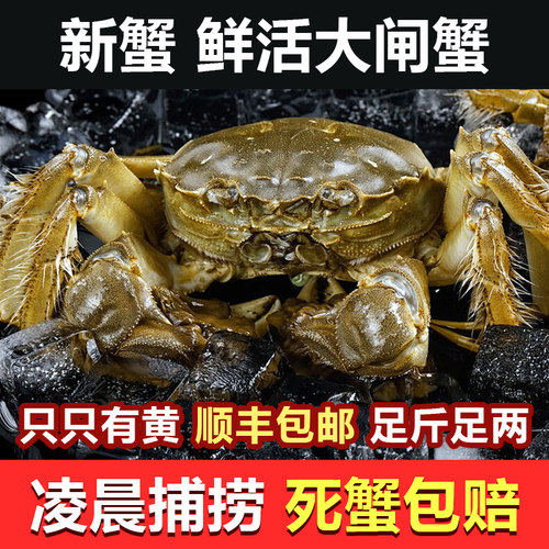 鲜活大闸蟹足斤足两净重不含绳