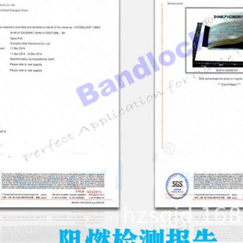 甄选PVC扣式结束带 钮扣电线捆绑带 塑料卷式束线带PC WB 整卷75