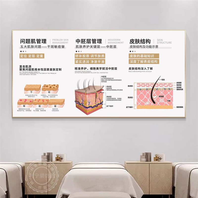 皮肤管理医美诊室宣传挂画美容院墙面广告画结构剖面分.析图装饰