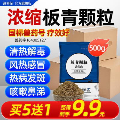 板青颗粒兽药正品猪药