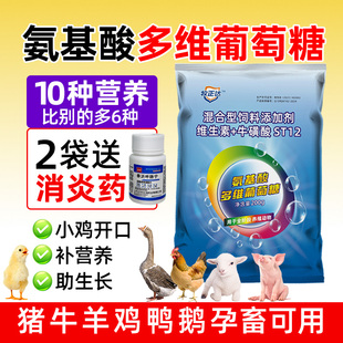 氨基酸多维葡萄糖粉兽用芦丁鸡鸭鹌鹑鸽子龟用电解多维饲料添加剂