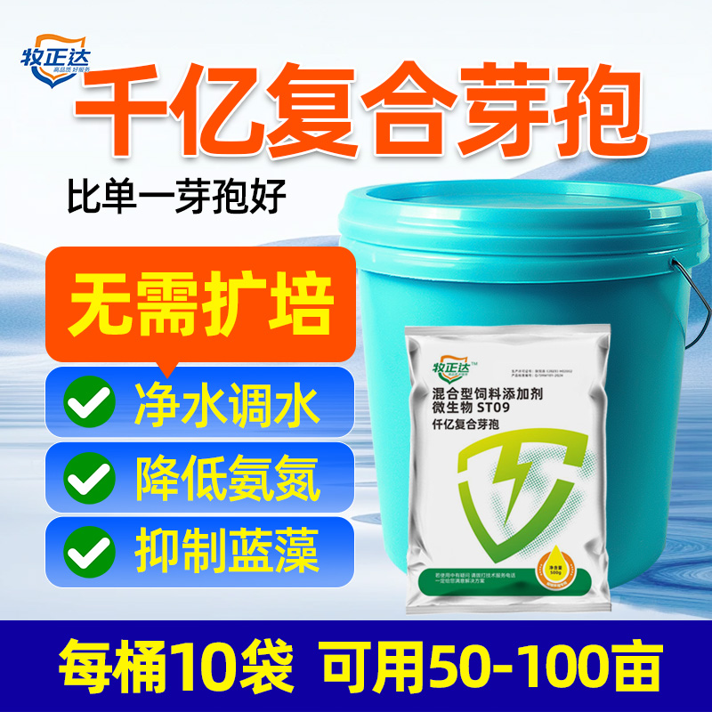 千億芽孢水產用改底分解青苔藍藻