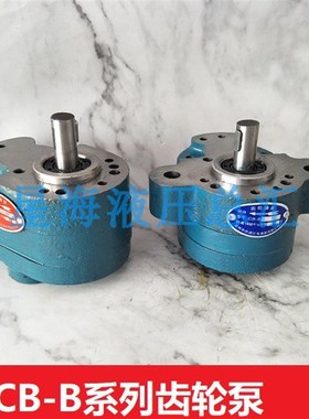 齿轮泵-B6/B10/kB4/B2.5/B16/B20/B25/B32锯床R液压油泵F润滑泵