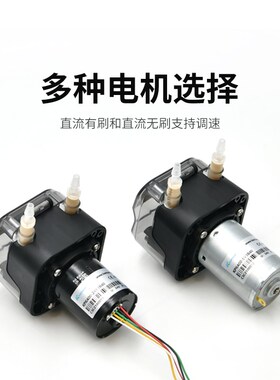 卡默尔蠕动泵12vl小型恒流泵自吸泵迷你实验室微型水泵 电动抽水
