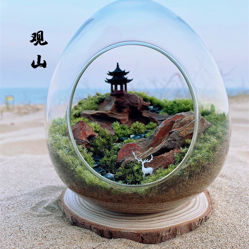苔藓微景观造景生态瓶办公桌绿植创意植物室内盆景书桌摆件种好发