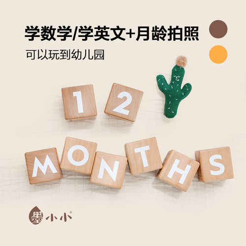字母数字积木拼单词算术多功能益智玩具insP婴儿宝宝月龄拍照道具