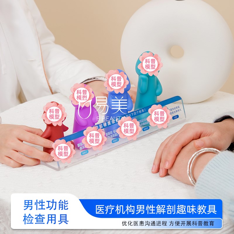 一触究竟男性功能检o查用具科普教具医学硅胶模型医患沟通桌面摆