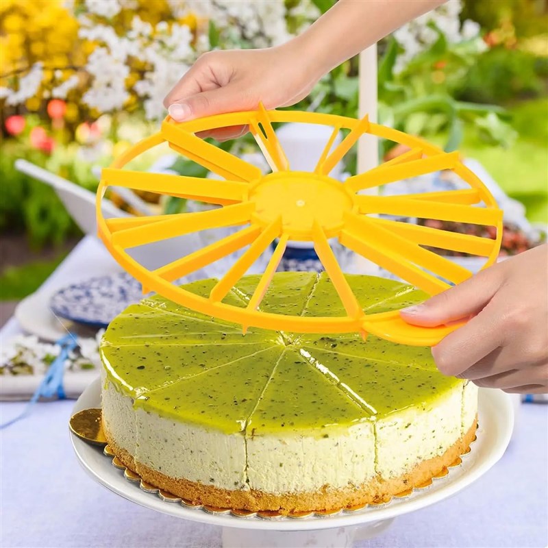 Slices Cake Equal Porrtion Cutter Round Bread Cake Mousse Di