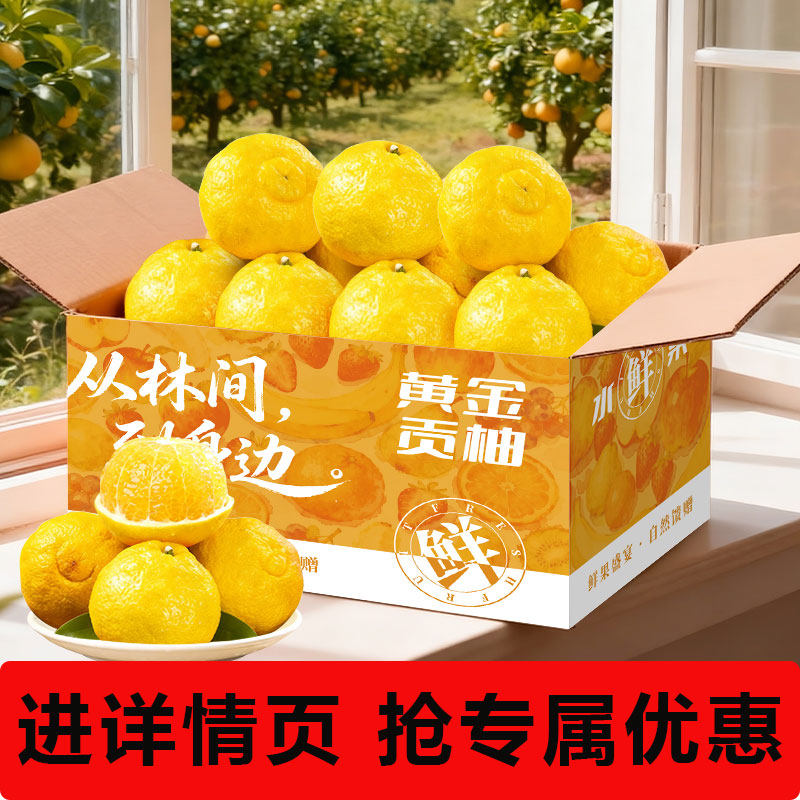 怀化洪江黔阳黄金贡柚岩垅春香桔柚象山青湖南雪峰小甜柚礼盒