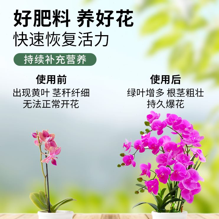 新洋丰缓释肥颗粒通用型复合肥花肥有机肥料家用盆栽专用植物多肉
