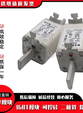 170M2673 170M2674 170M2675 170M2676巴斯曼170M2677熔断器/底座