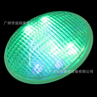 PAR56光源胶壳 PC-PAR56 泳池PAR56 PAR56  swimming pool light