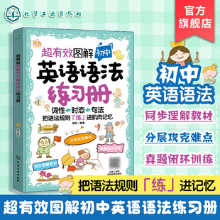 超有效图解初中英语语法练习册 初中英语词性时态句法训练练习册 初中英语题型模拟练习 初中英语语法分类记忆法 考试模拟练习题