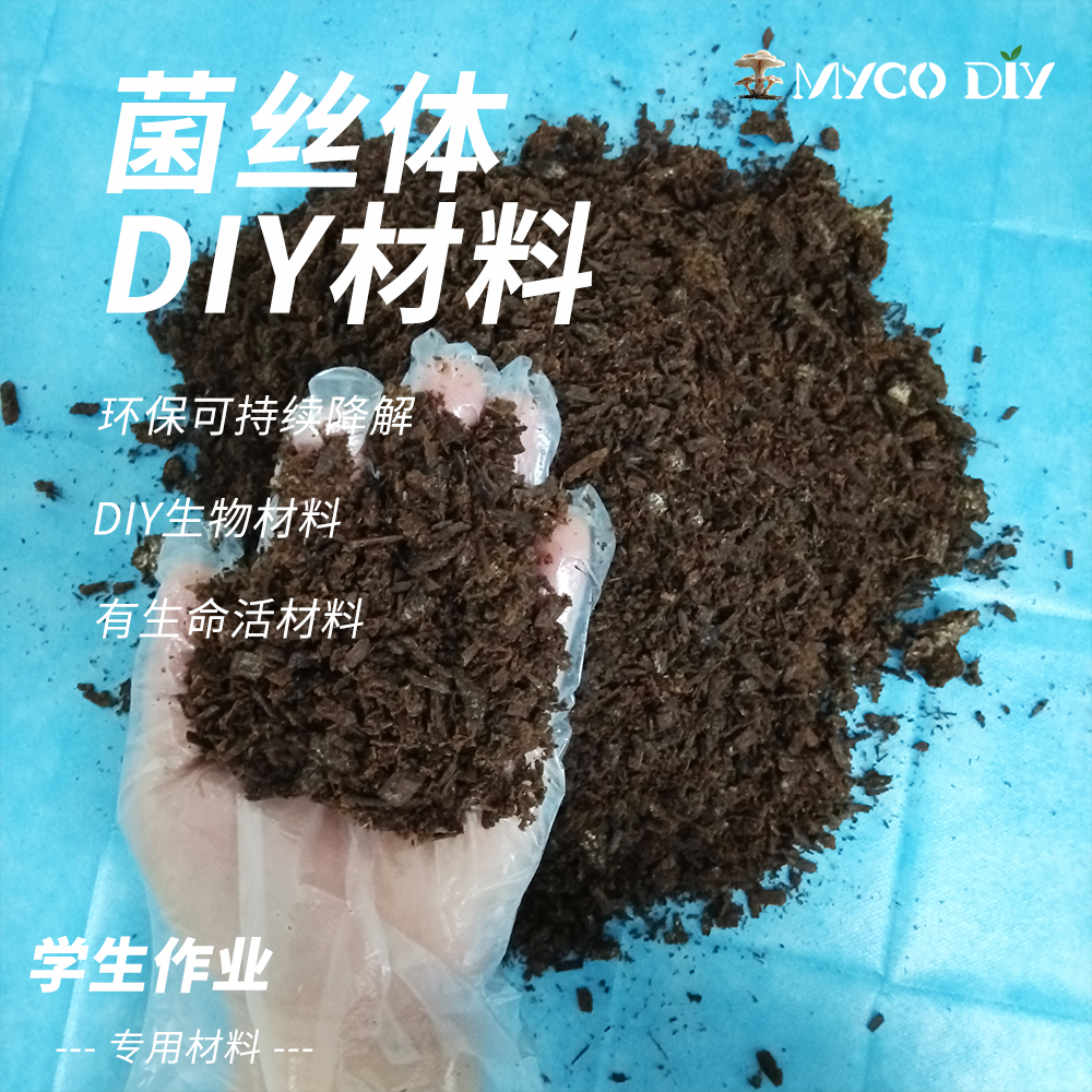学生创意DIY菌丝体材料