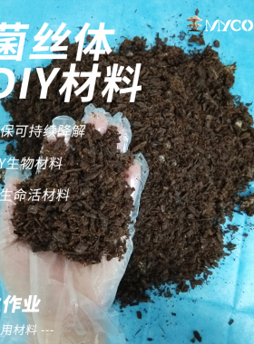 学生创意DIY菌丝体材料 | 自然生长环保材料 | 模具培养白色菌丝