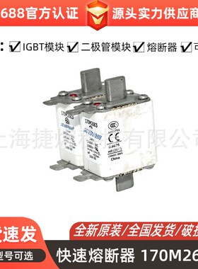 170M2683 170M2684 170M3011全新直流熔断器 电子元器件 现货直发