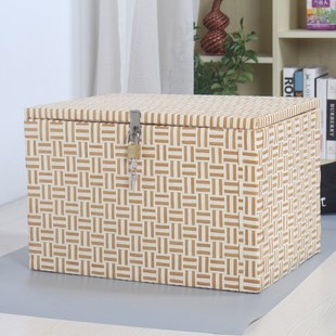 带锁收纳箱能上锁的小箱子加锁收纳箱学生密码锁收纳盒证件箱子