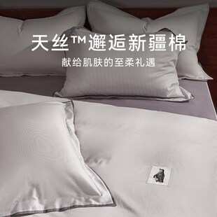 CASUCA约翰磨毛四件套60支天丝棉秋冬季床单床上用品加厚保暖被套