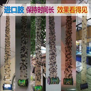 苍蝇贴强力粘家用粘苍蝇纸胶卷大连神龙粘蝇彩带彩条带防风轴