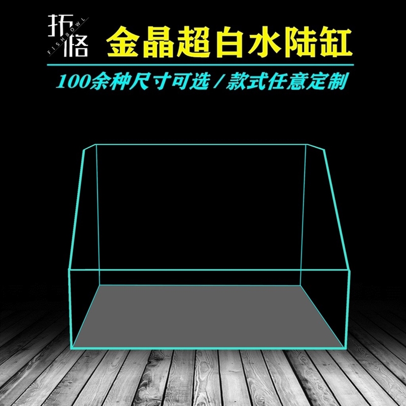 定制金晶超白水陆鱼缸植物造景订制微景观斜口缸玻璃定做生态雨林